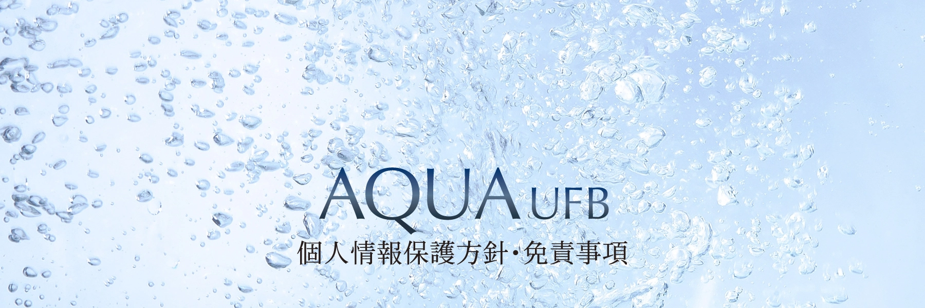 高性能元付け型 ウルトラファインバブル生成装置 AQUA UFB